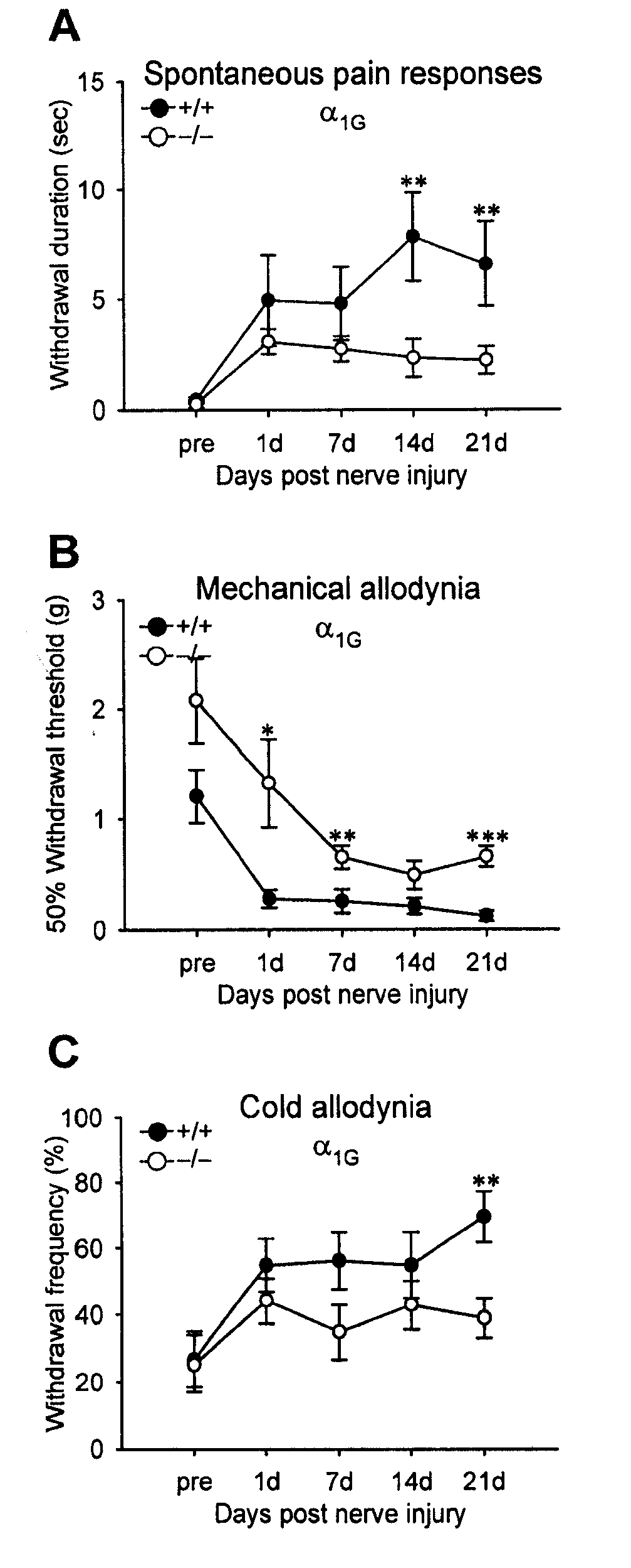 Methods for relieving neuropathic pain by modulating alpha 1g t-type calcium channels and mice lacking alpha 1g t-type calcium channels