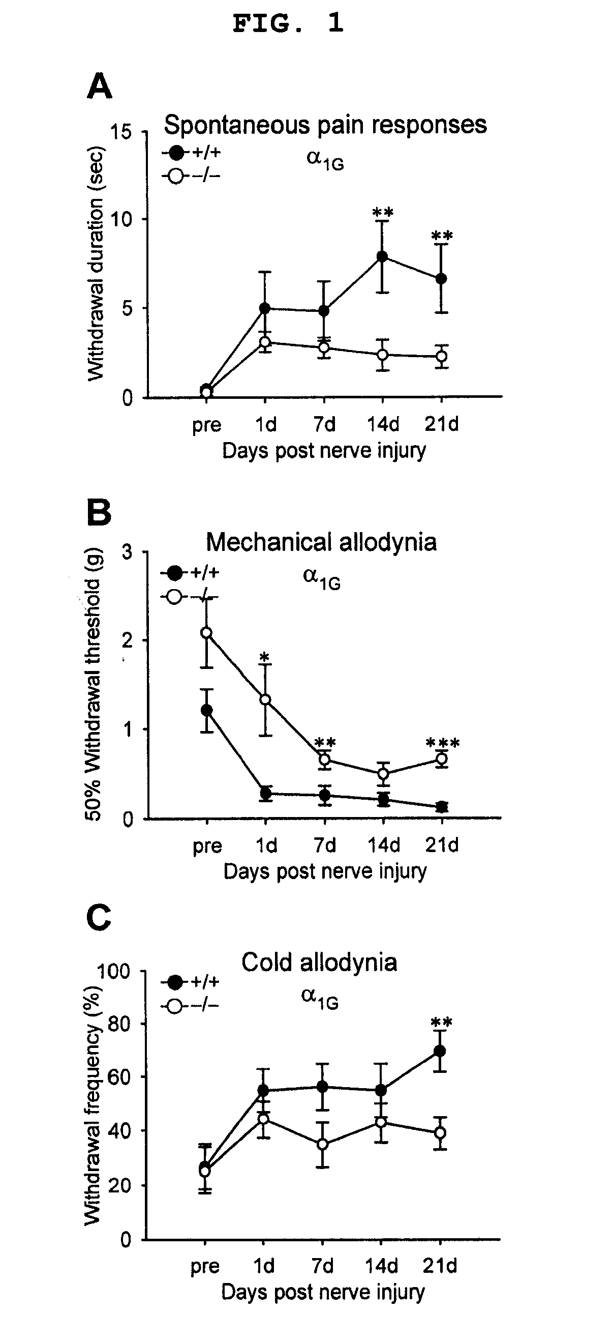 Methods for relieving neuropathic pain by modulating alpha 1g t-type calcium channels and mice lacking alpha 1g t-type calcium channels
