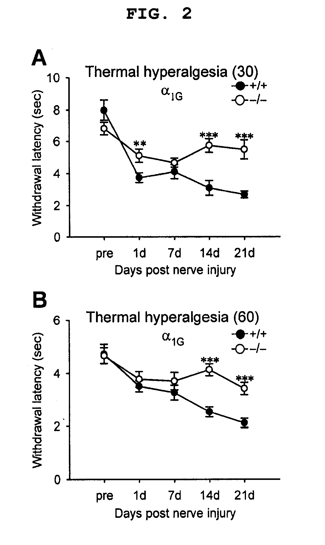 Methods for relieving neuropathic pain by modulating alpha 1g t-type calcium channels and mice lacking alpha 1g t-type calcium channels