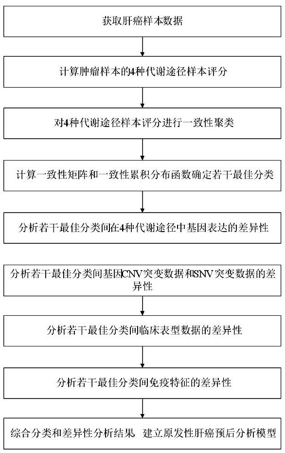 Primary liver cancer gene classification and liver cancer tissue energy metabolism-based prognosis analysis method