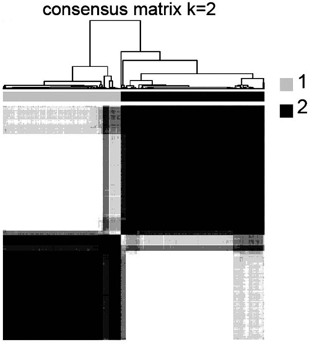 Primary liver cancer gene classification and liver cancer tissue energy metabolism-based prognosis analysis method