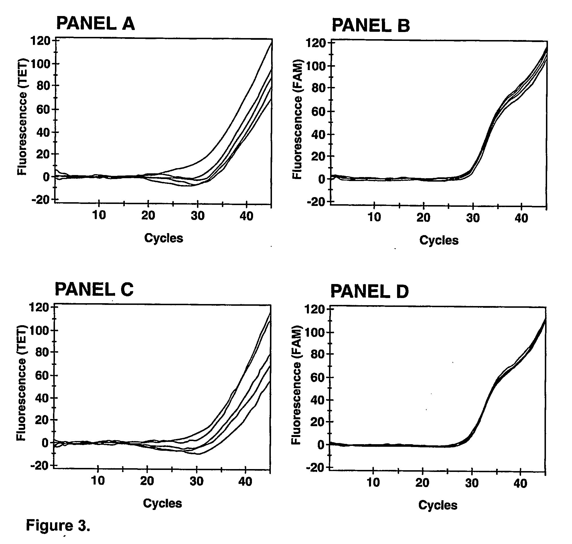 Biological reagents and methods to verify the efficiency of sample preparation and nucleic acid amplification and/or detection