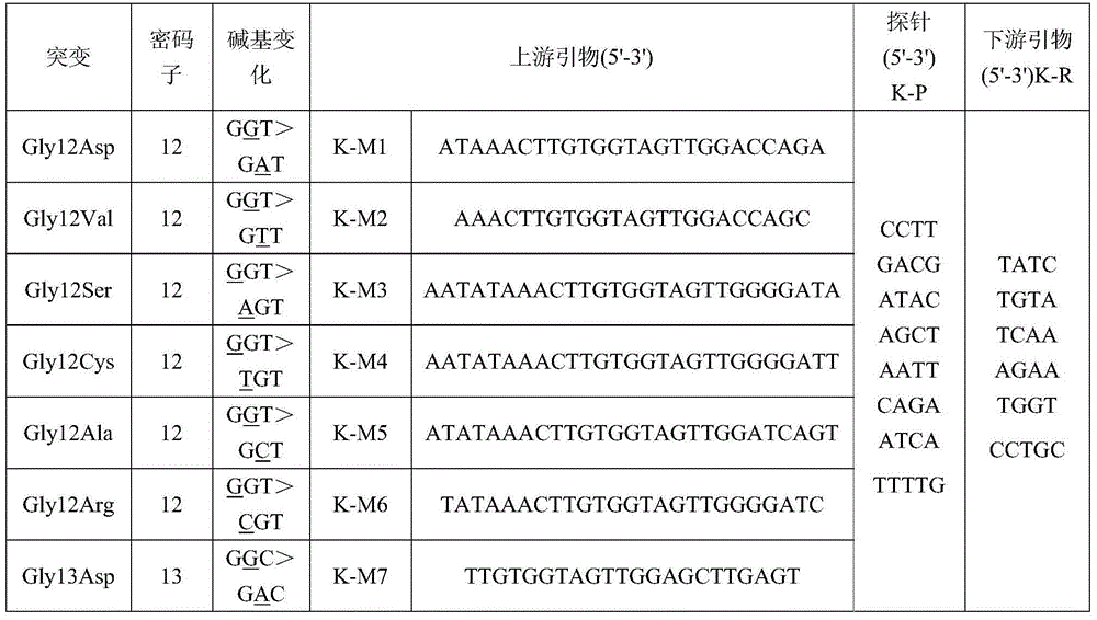 Fluorescence PCR detection kit for human K-RAS gene mutation