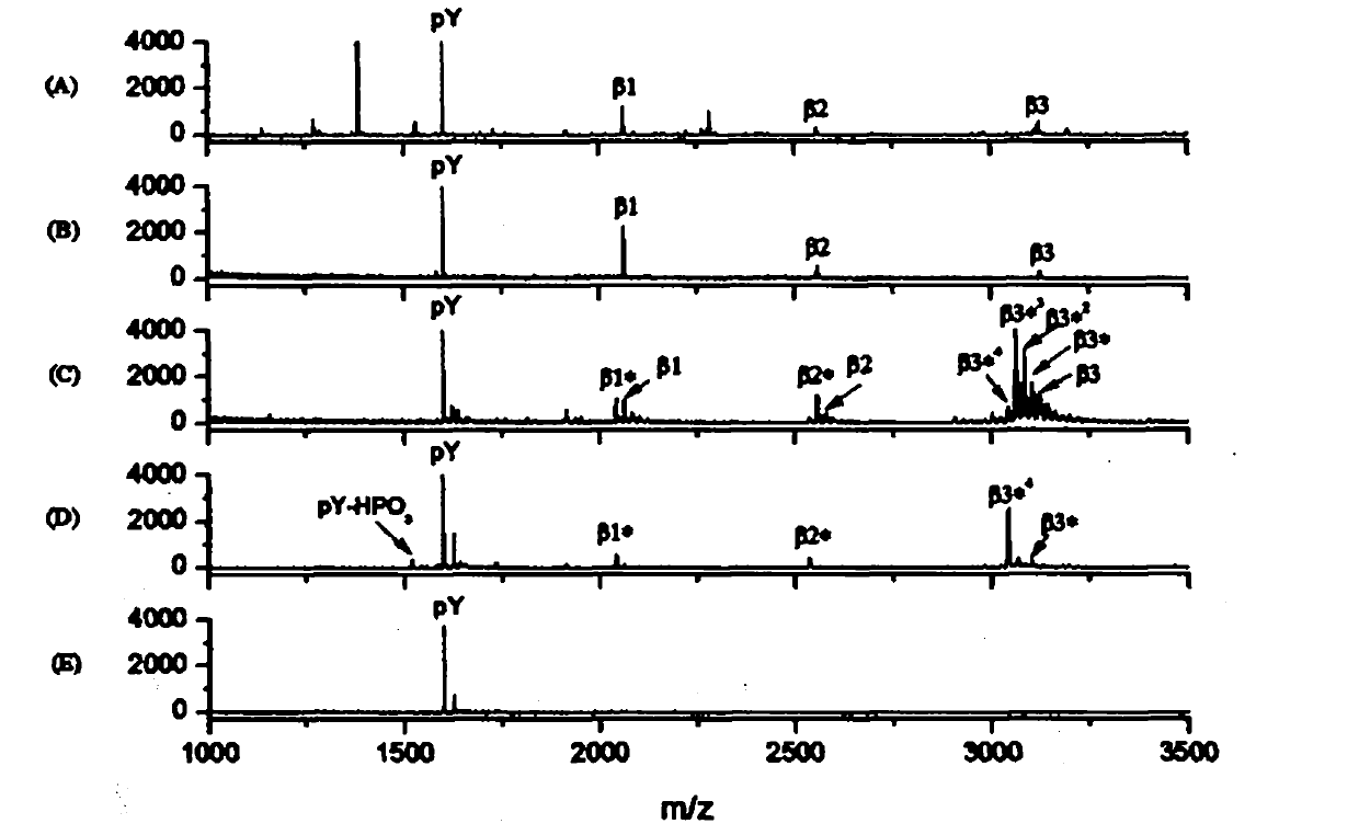 Method for purifying tyrosine phosphopeptide