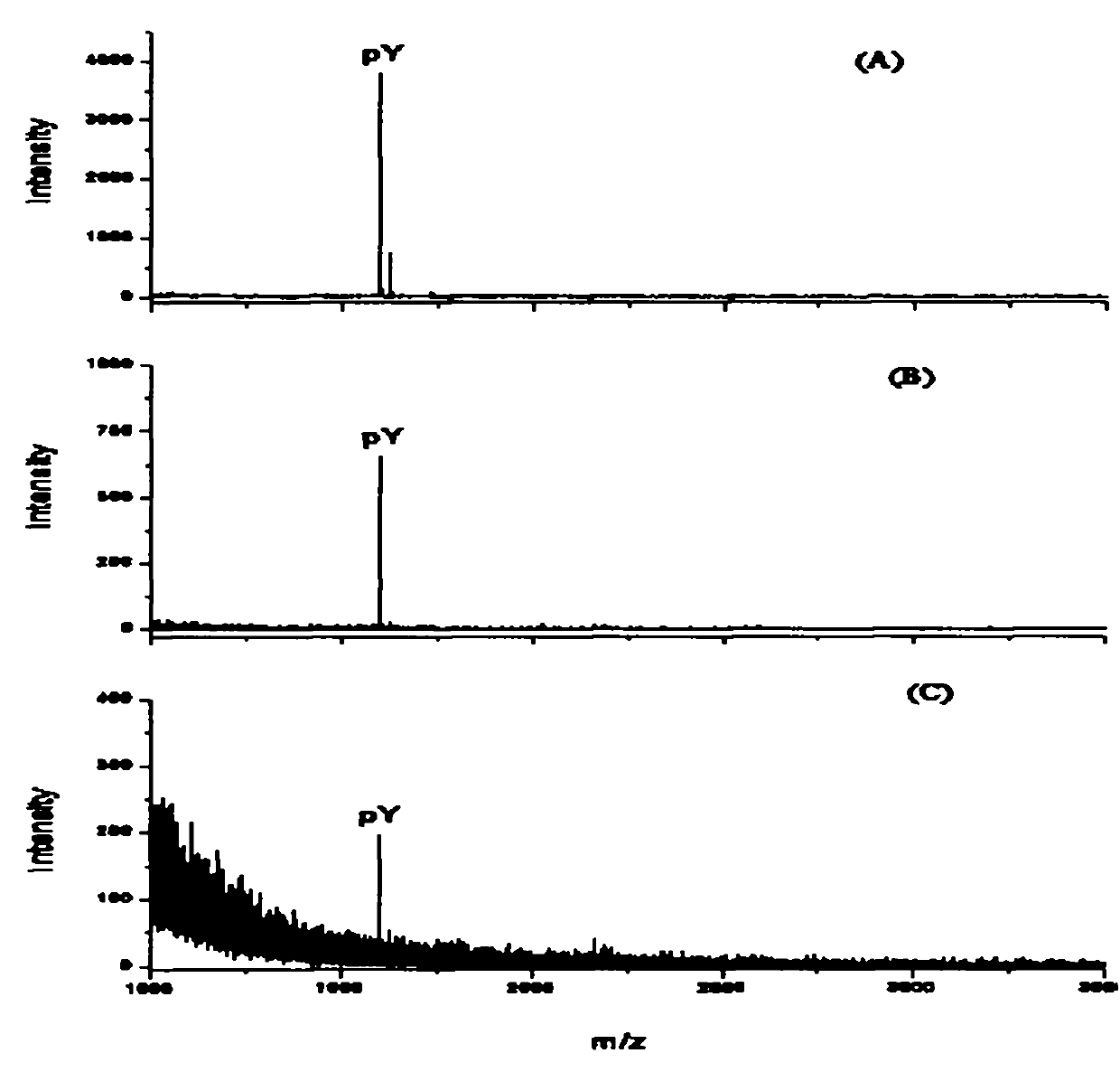 Method for purifying tyrosine phosphopeptide