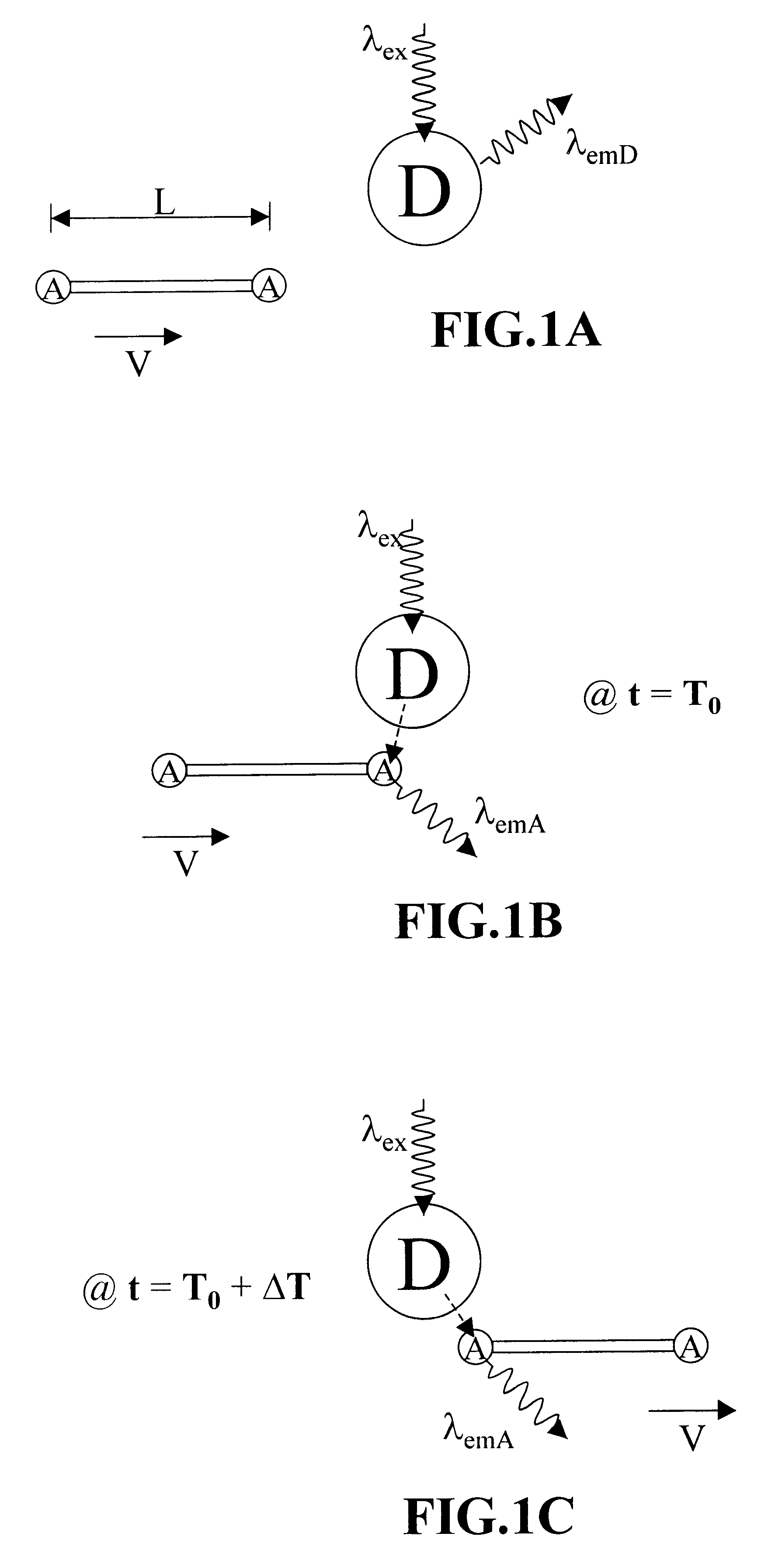 Methods of analyzing polymers using a spatial network of fluorophores and fluorescence resonance energy transfer