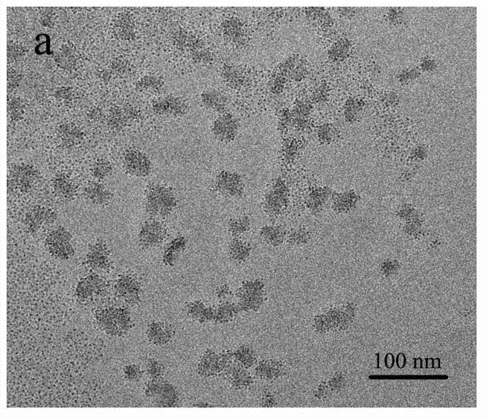 Segmented copolymer capable of being self-assembled into micelle and preparation method thereof
