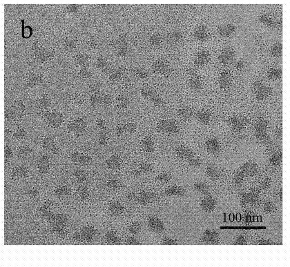 Segmented copolymer capable of being self-assembled into micelle and preparation method thereof