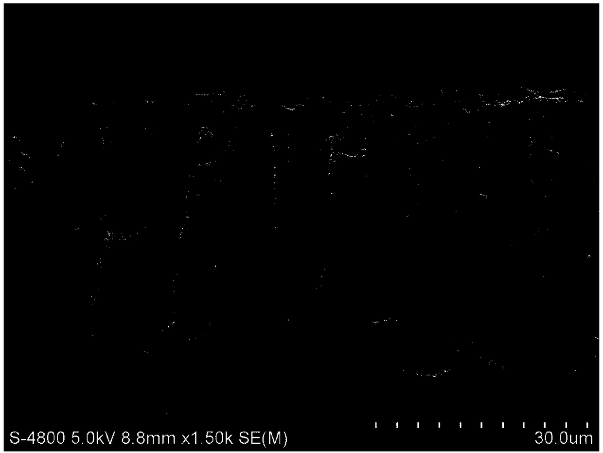 Anisyl alcohol solvent-resistant composite nano-filtration membrane and method for preparing same