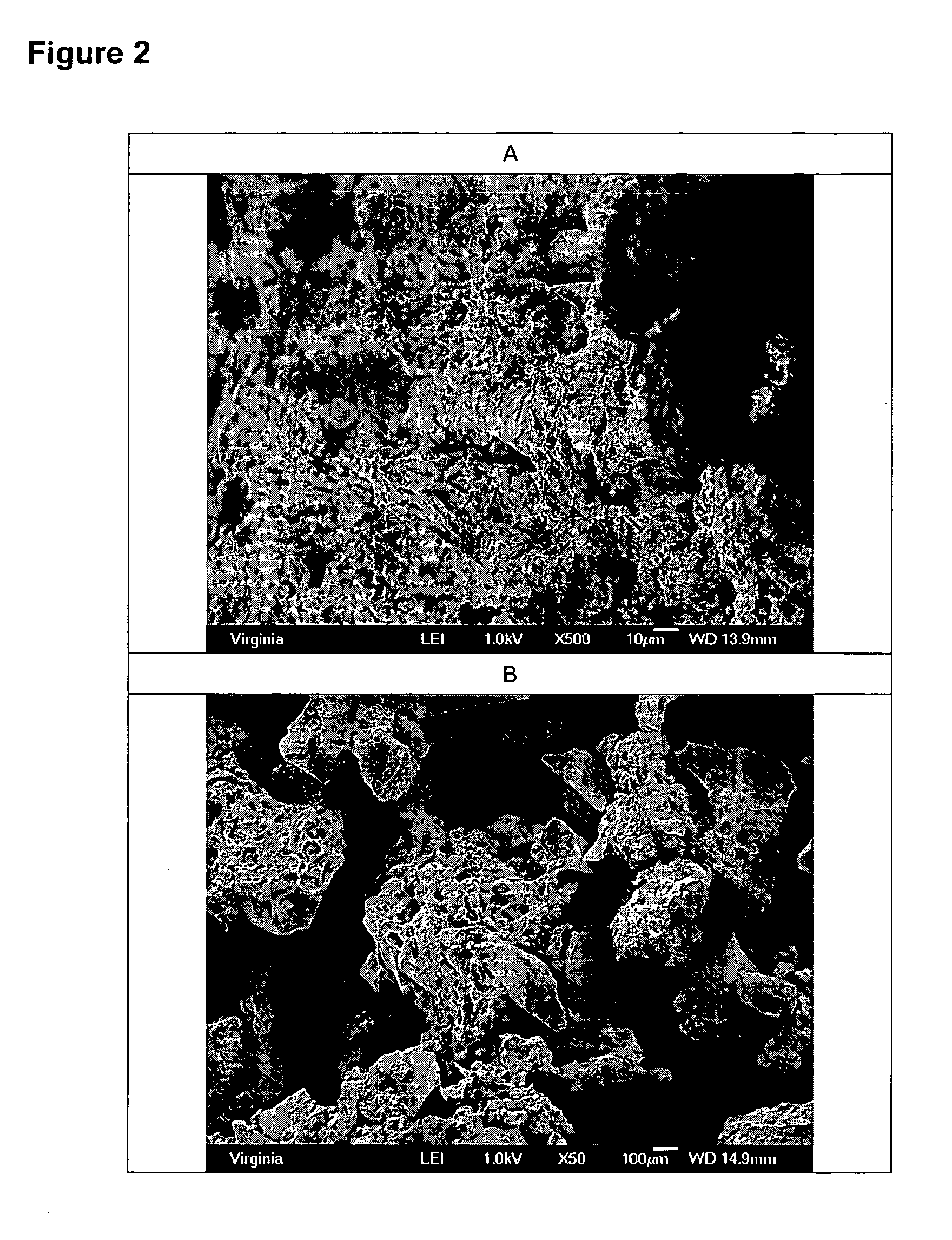 Compositions for repairing bone and methods for preparing and using such compositions