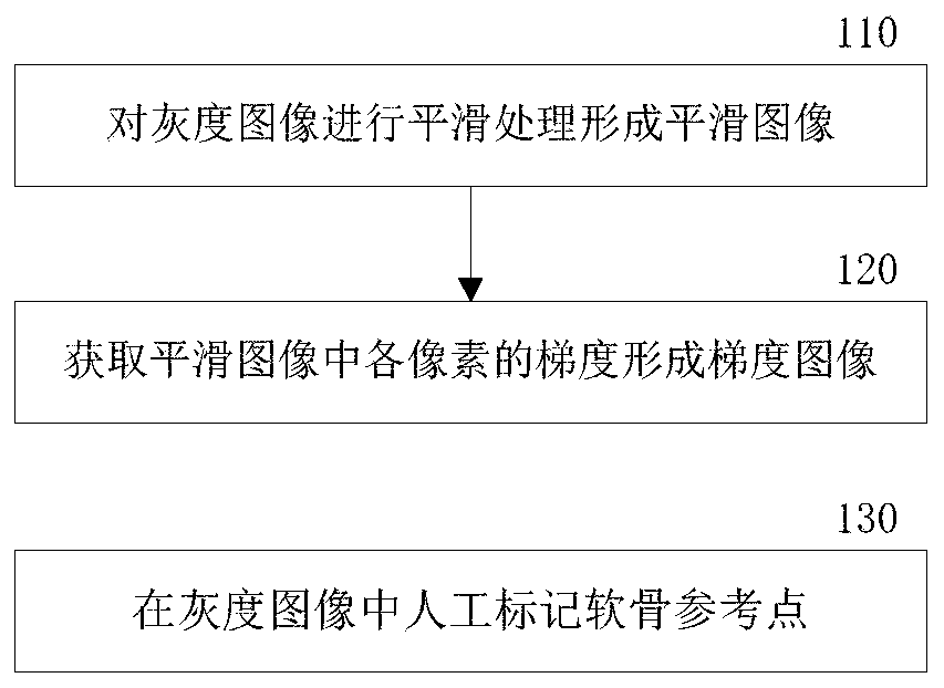 Method and system for identifying cartilage in medical image