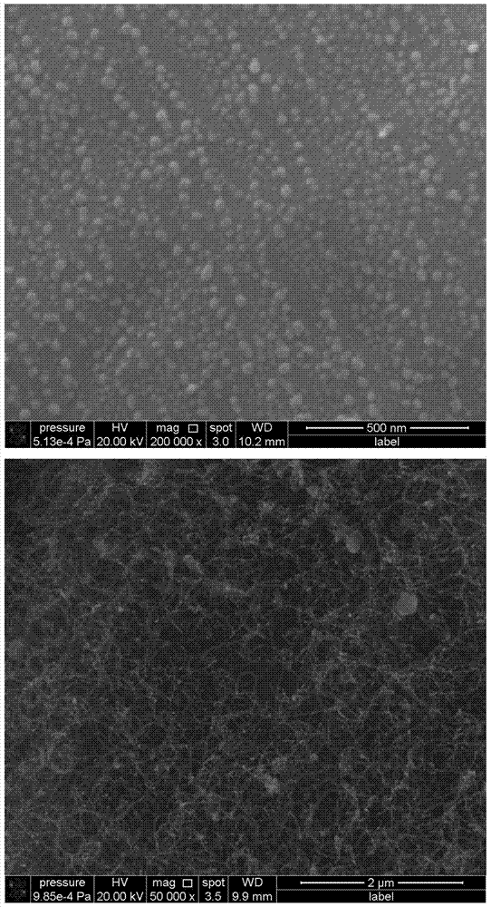 Method for preparing carbon nano tubes on surfaces of silicon carbide particles through in-situ synthesis
