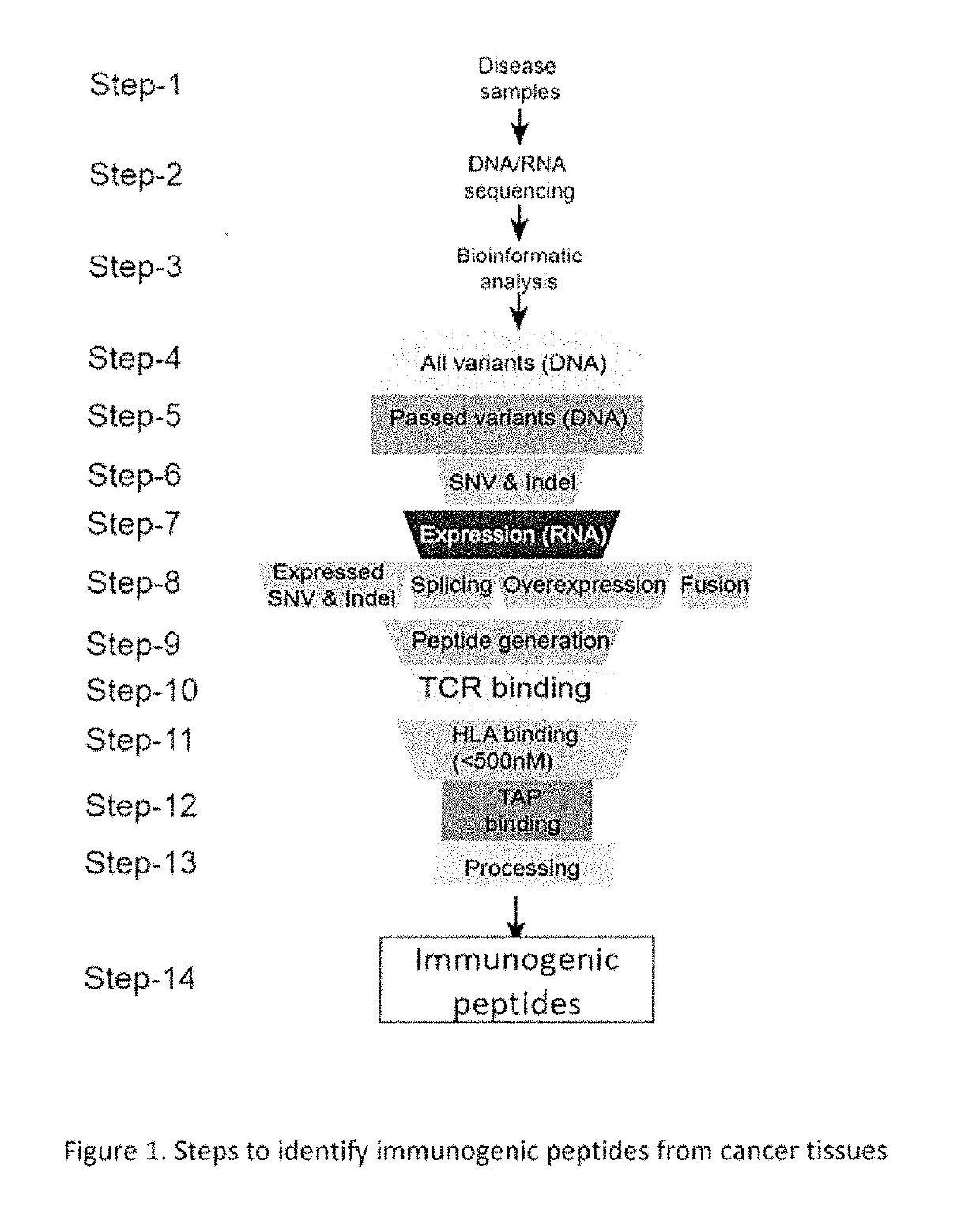 Methods to analyze genetic alterations in cancer to identify therapeutic peptide vaccines and kits therefore