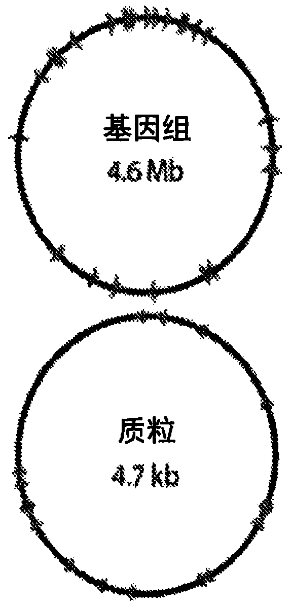 Methods and systems of molecular recording by crispr-cas system