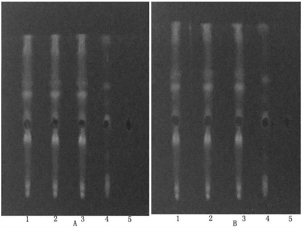 Method for identifying radix polygoni multiflori preparata in medicinal liquor for treating bone pain