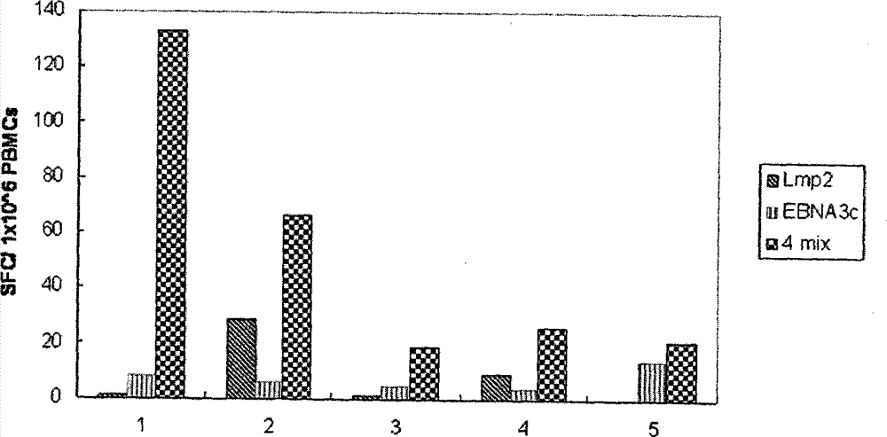 Method for producing immune cells and method for inducing immune effector cells