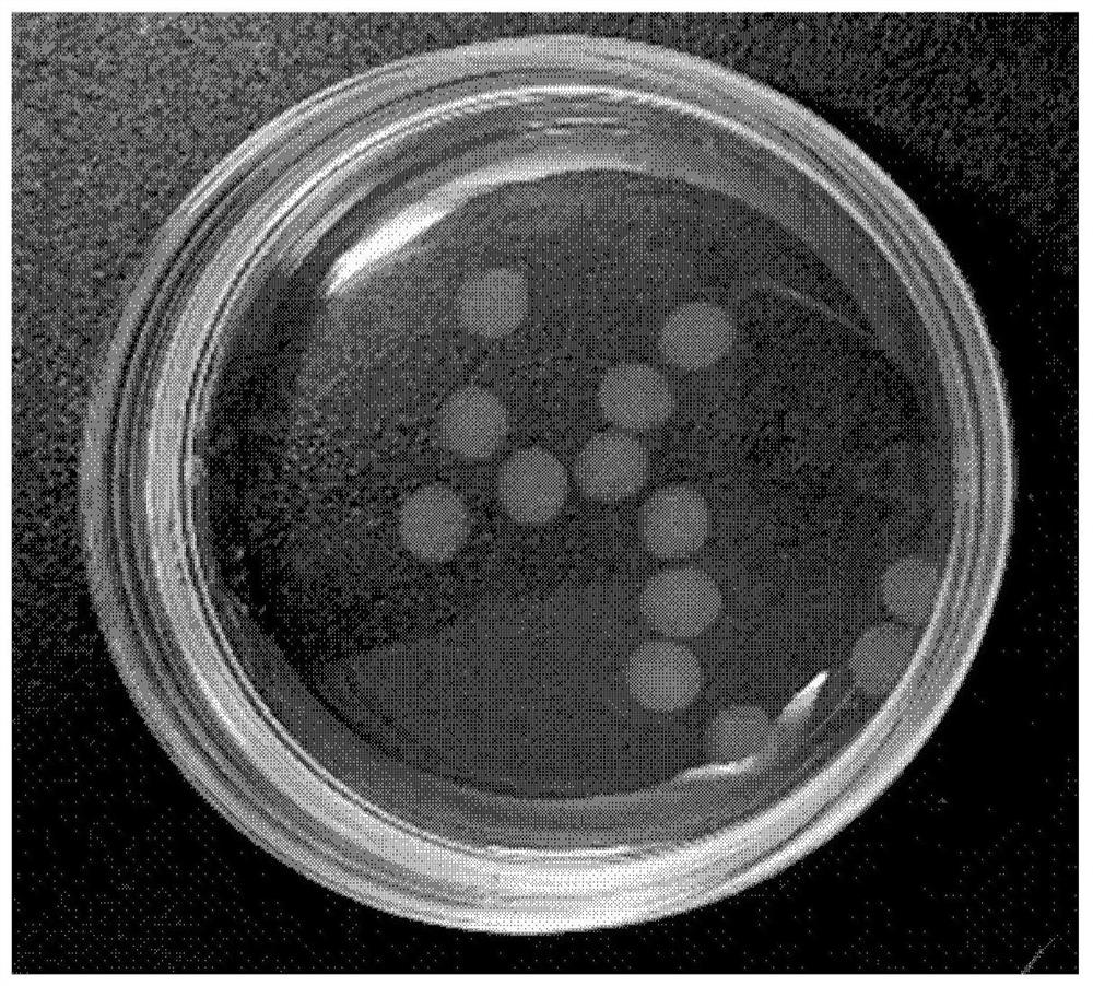 High-throughput preparation method of three-dimensional hydrogel array for drug screening