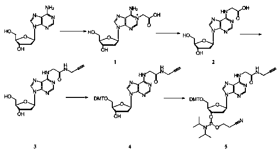 Alkynyl modified deoxyadenosine phosphoramidite monomer and preparation method thereof