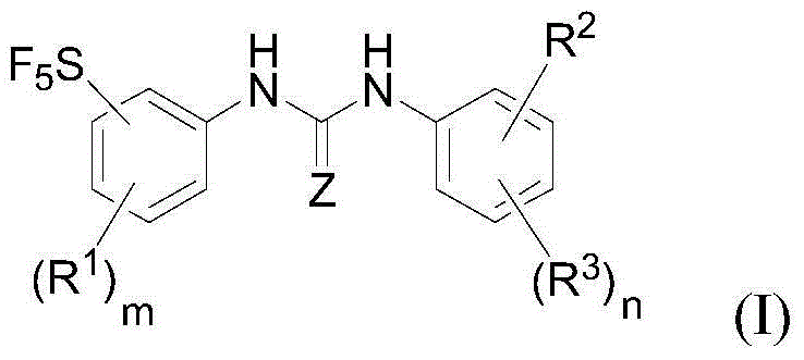Raf kinase inhibitor pentafluoride sulfur-based aryl urea, and preparation method and applications thereof