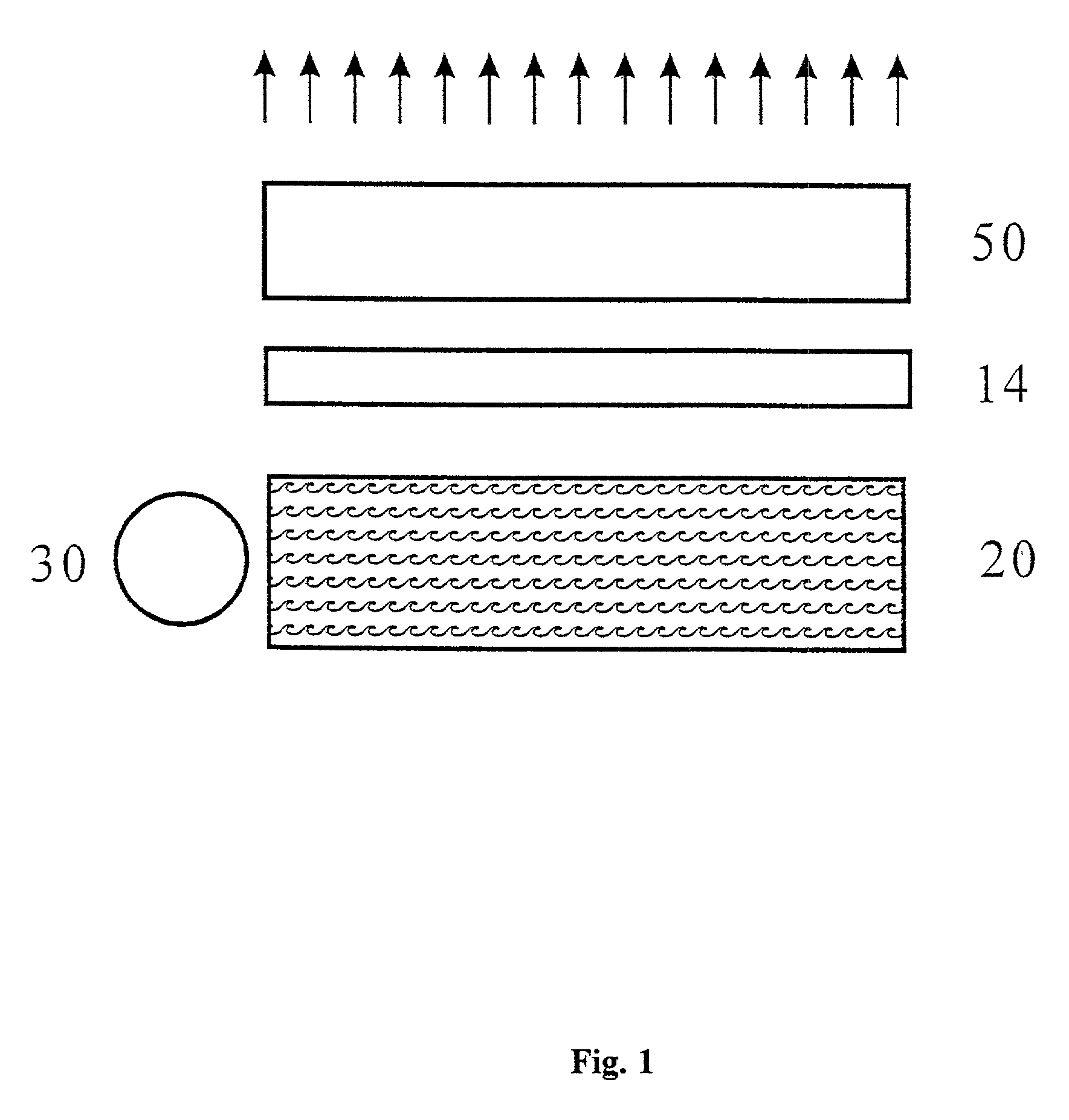 Polarization splitting backlight module