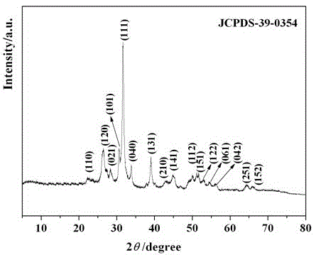 A preparation method for synthesizing three-dimensional stannous sulfide microflowers with quaternary ammonium salt auxiliary complexing agent