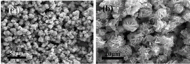 A preparation method for synthesizing three-dimensional stannous sulfide microflowers with quaternary ammonium salt auxiliary complexing agent