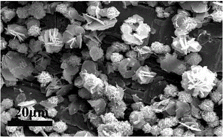 A preparation method for synthesizing three-dimensional stannous sulfide microflowers with quaternary ammonium salt auxiliary complexing agent