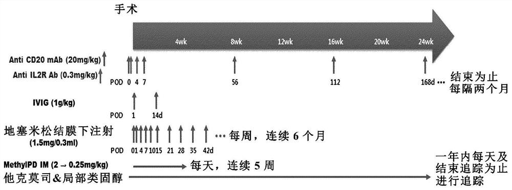 Combined immunosuppressive method of anti-CD20 monoclonal antibody and tacrolimus in corneal xenotransplantation