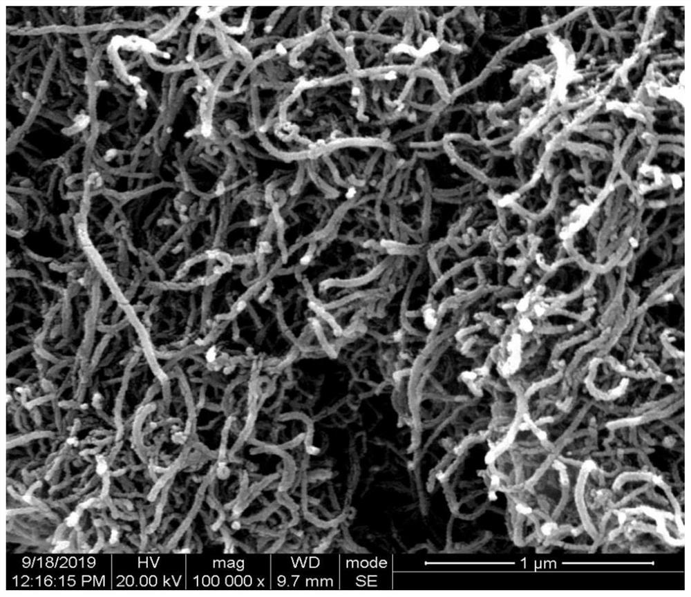 Carbon nanotube, device and method for preparing hydrocarbon by catalytic cracking through circulating intermittent pushing method