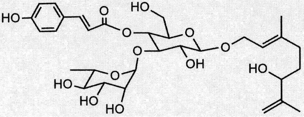 Ligustrum robustum C and application of its composition in preparation of medicine for treating hyperlipidemia and reducing fat