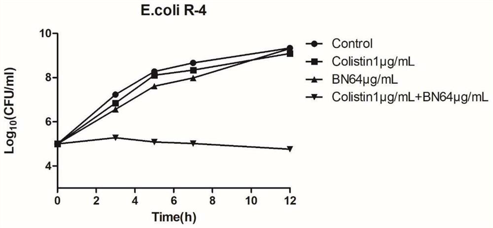 Application of brazilin to synergism of antibacterial effect of polymyxin antibiotics on escherichia coli