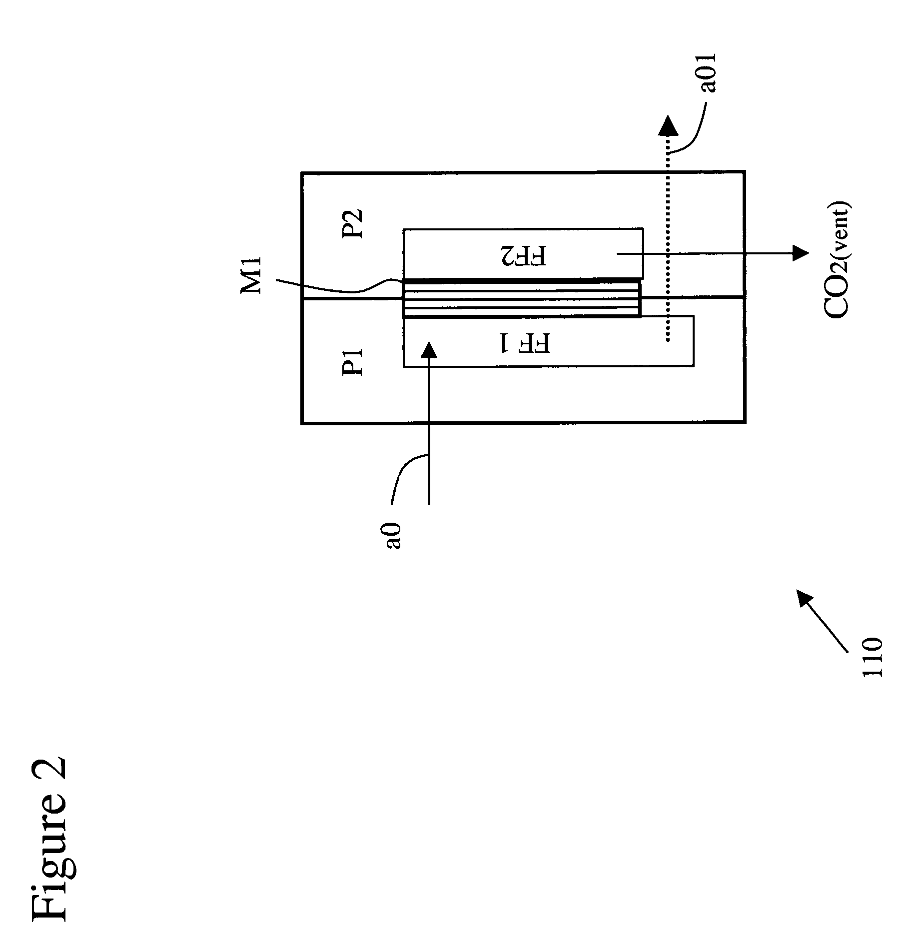 Carbon dioxide management in a direct methanol fuel cell system