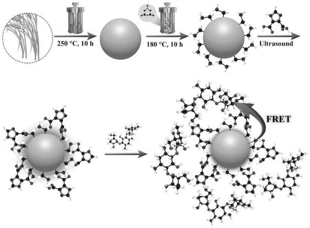 Imidazole-4,5-dicarboxylic acid modified nitrogen-doped carbon quantum dot nano composite material as well as preparation method and application