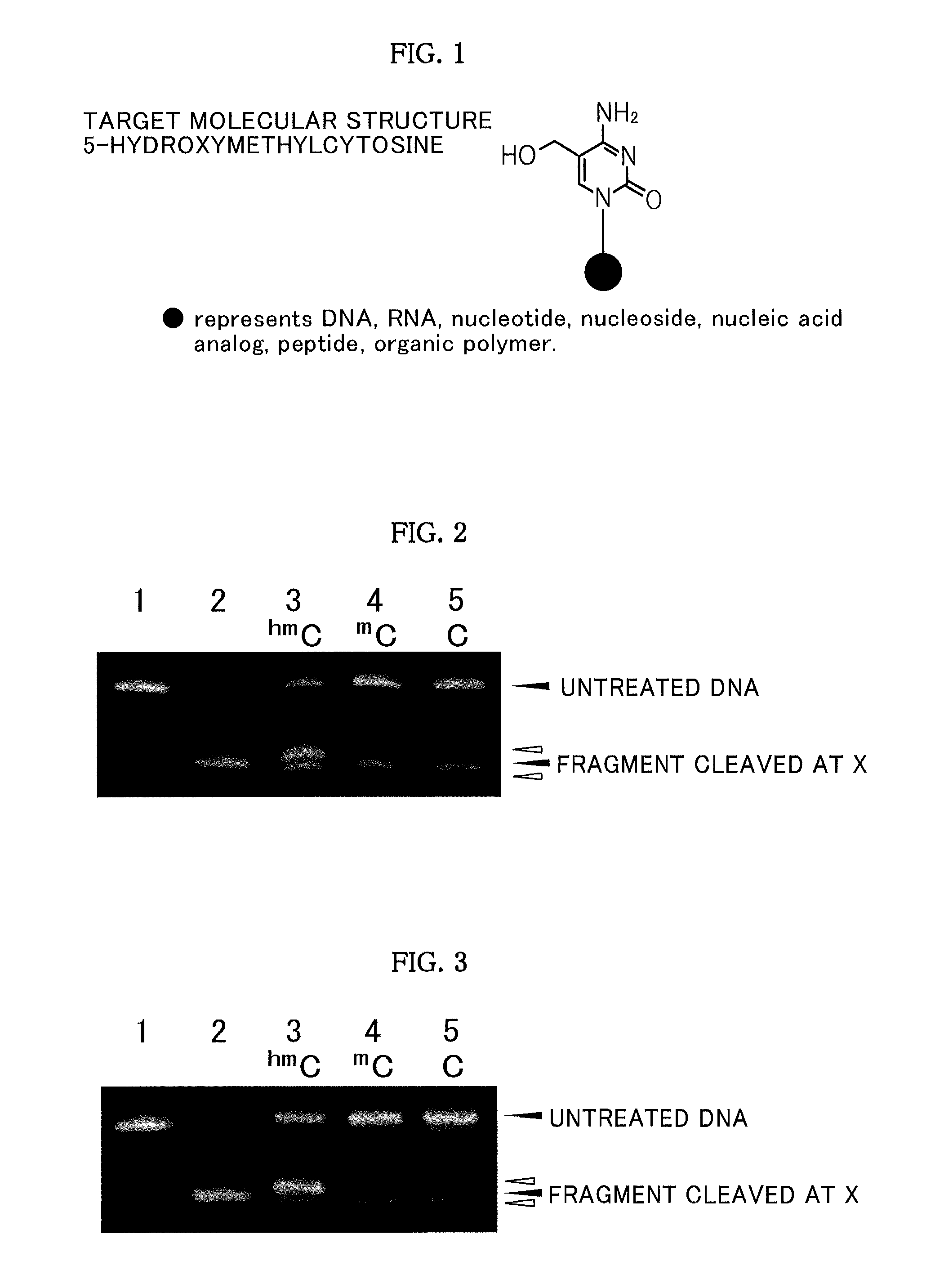 Method and kit for detecting 5-hydroxymethylcytosine in nucleic acids