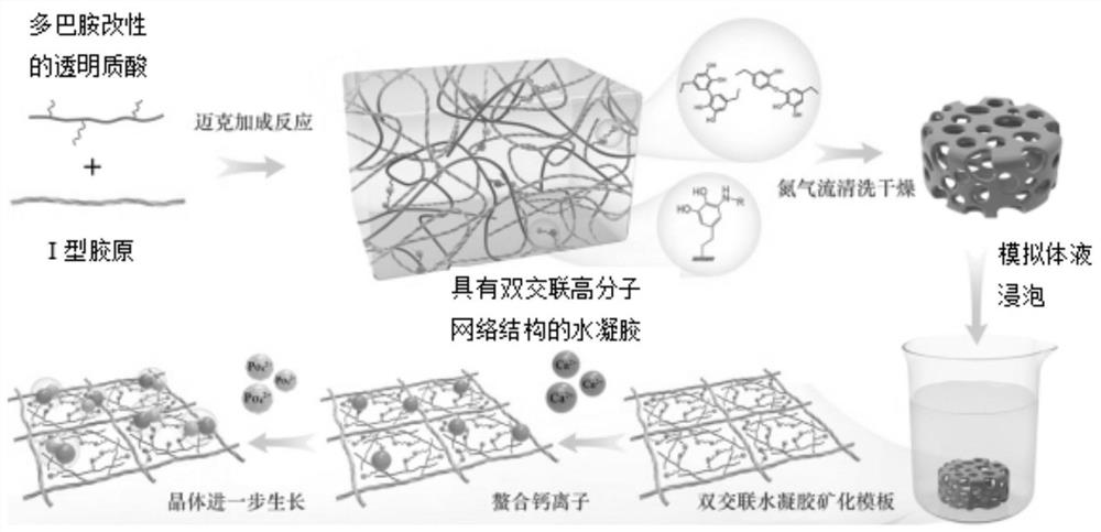 Biomimetic mineralized hydrogel with nano-micron composite structure and high mineral density as well as preparation method and application thereof