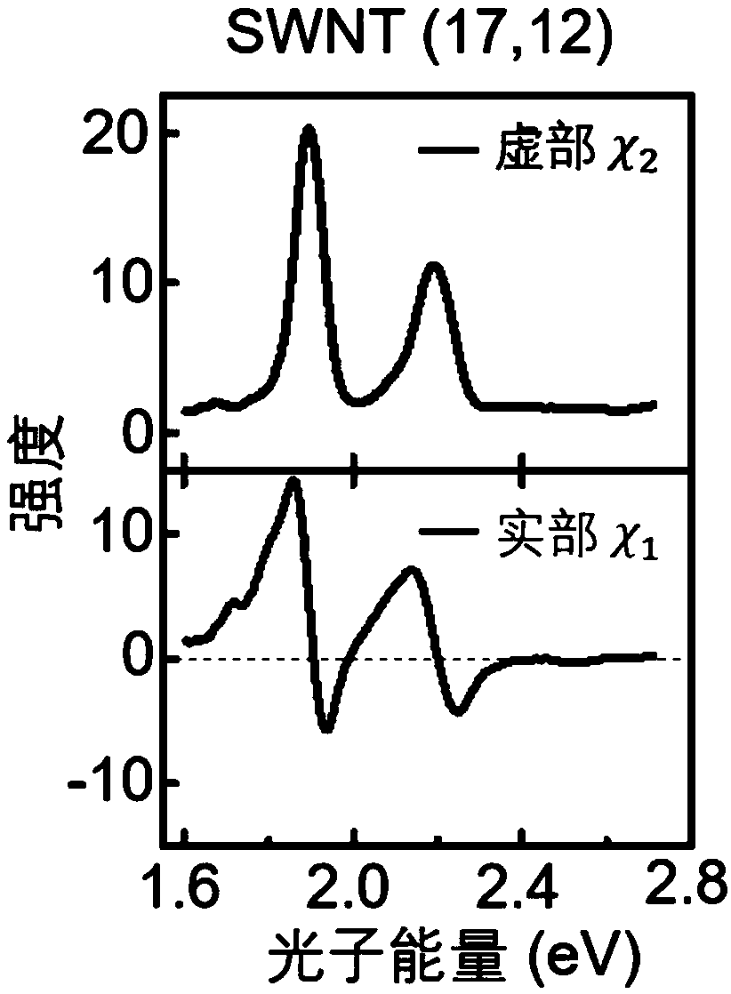 Device and method for measuring repolarization rate of one-dimensional material