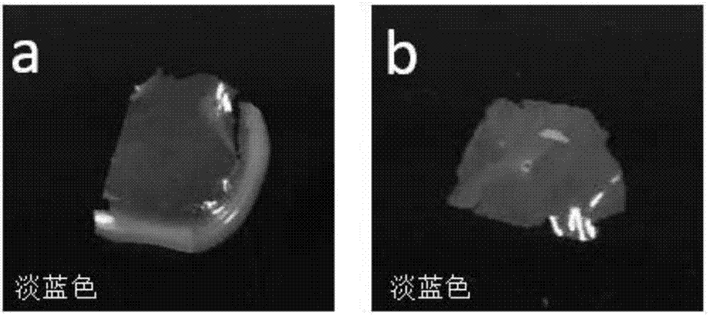 Structural color ink and preparation method thereof