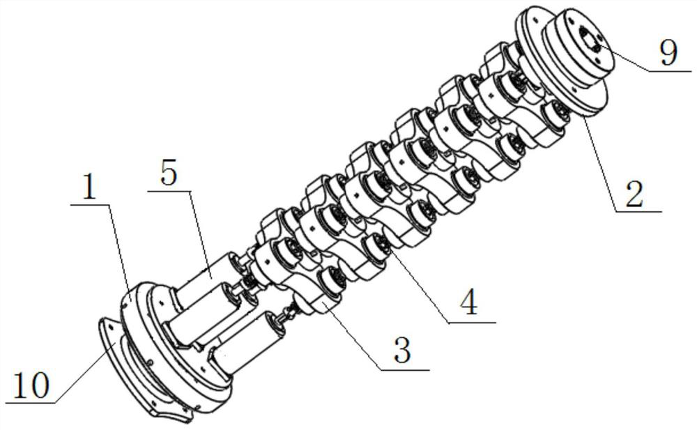 Bionic elephant trunk mechanical arm