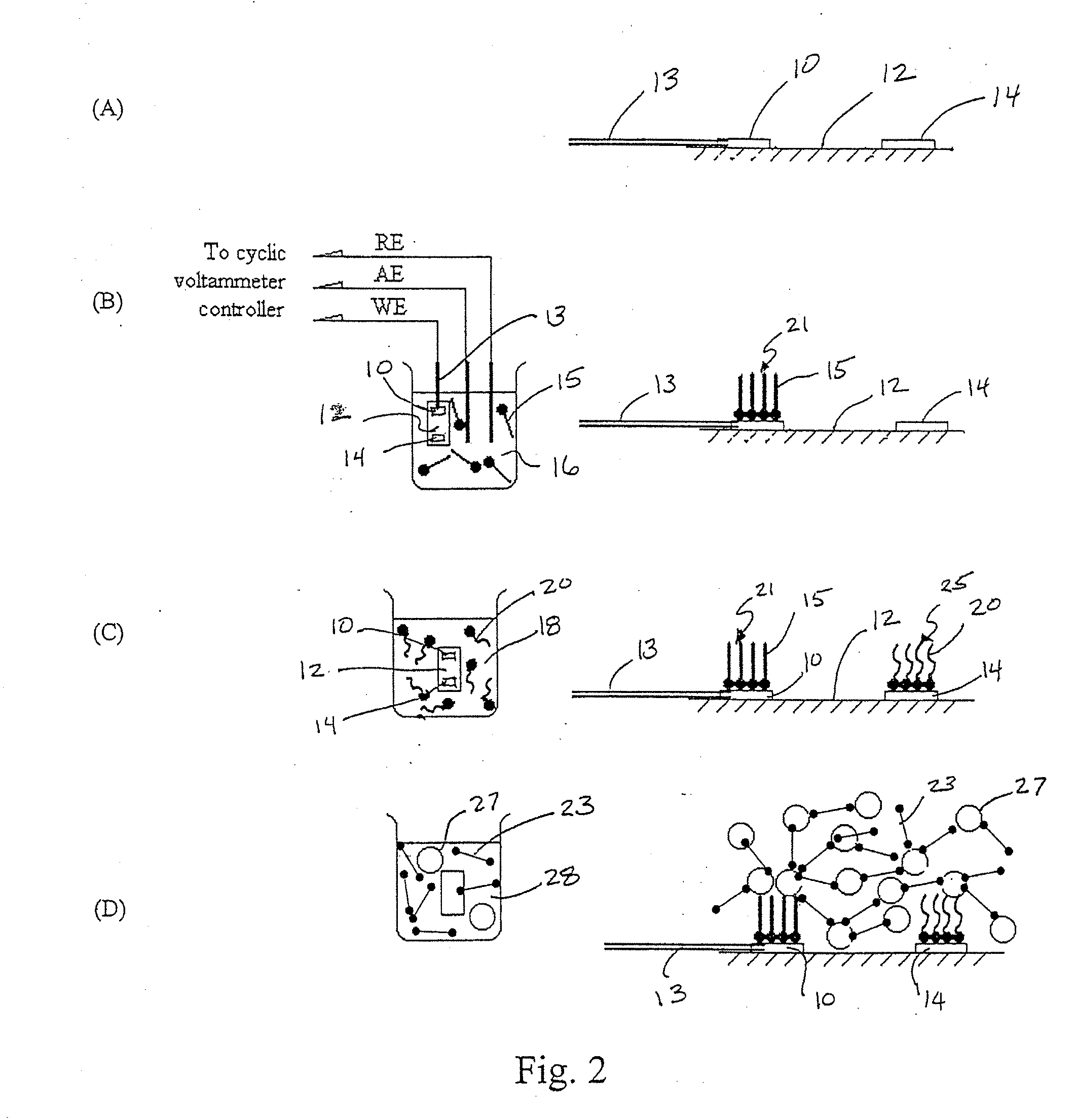 Self-assembly of molecular devices