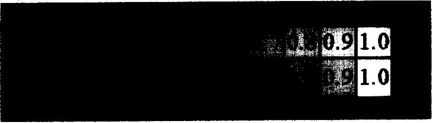 Video code-flow gamma characteristic correction method and multi-point control unit