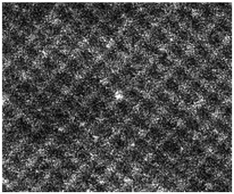 Preparation method of metal monatomic catalyst