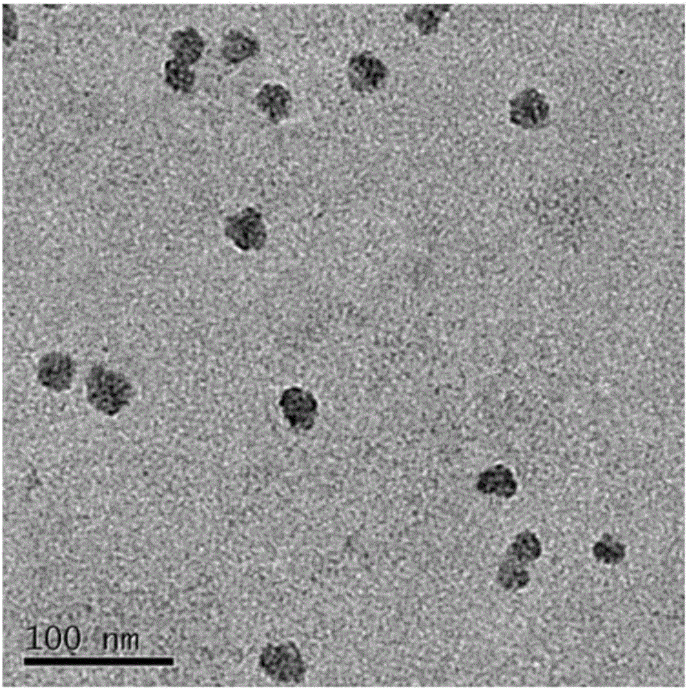 Multifunctional mesoporous silica nanoparticles having near-infrared photothermal and in-vivo fluorescence imaging characteristics as well as preparation method and application of mesoporous silica nanoparticles