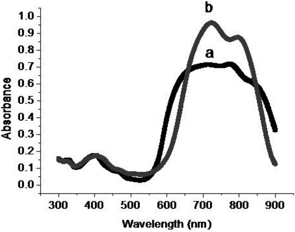 Multifunctional mesoporous silica nanoparticles having near-infrared photothermal and in-vivo fluorescence imaging characteristics as well as preparation method and application of mesoporous silica nanoparticles