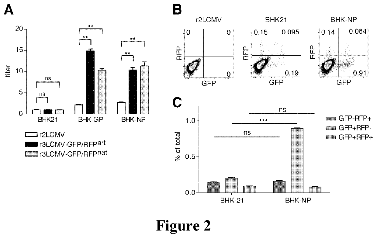 Tri-segmented arenaviruses as vaccine vectors