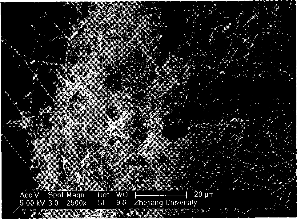 Preparation method and use of silicon carbide nano-wire catalyst for making hydrogen