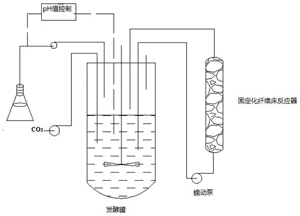 Chemical modified fiber type immobilization carrier as well as preparation method and application thereof