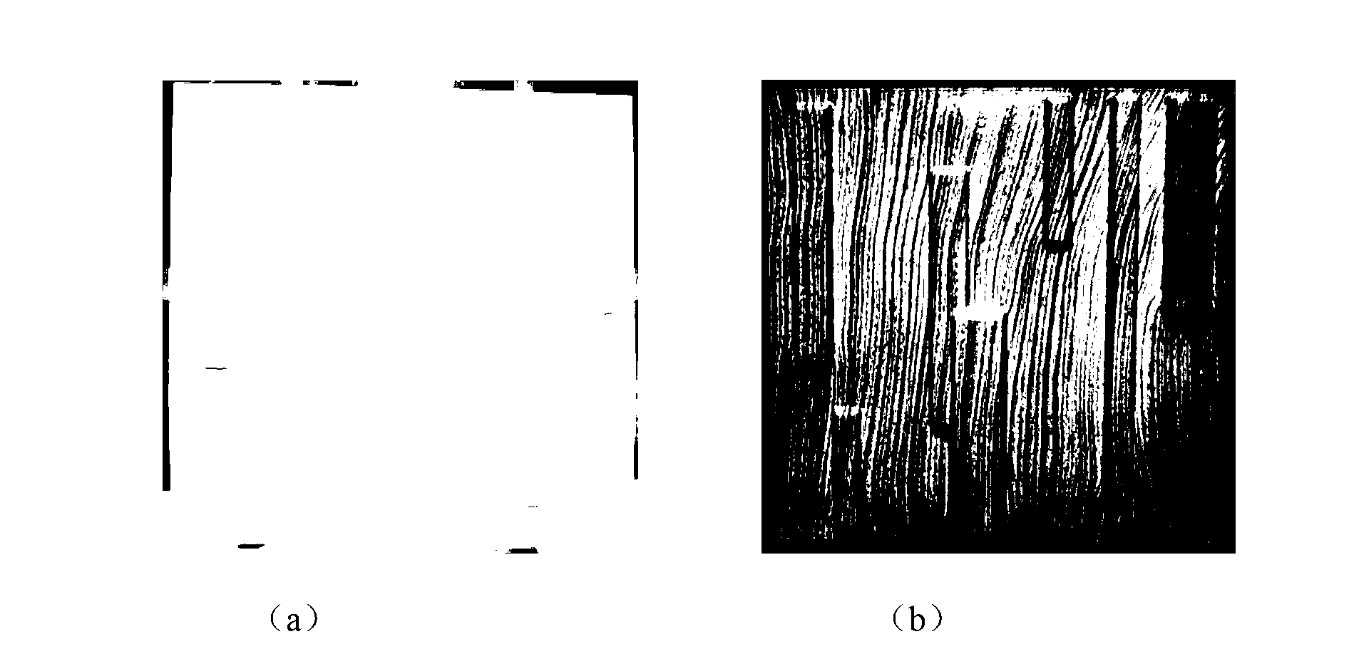 Water transfer printing method for decorative plate of plant fiber molding wall
