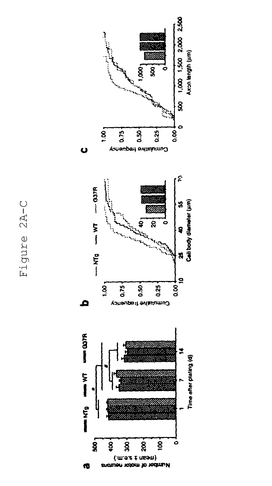 Stem cell-based culture system for drug development