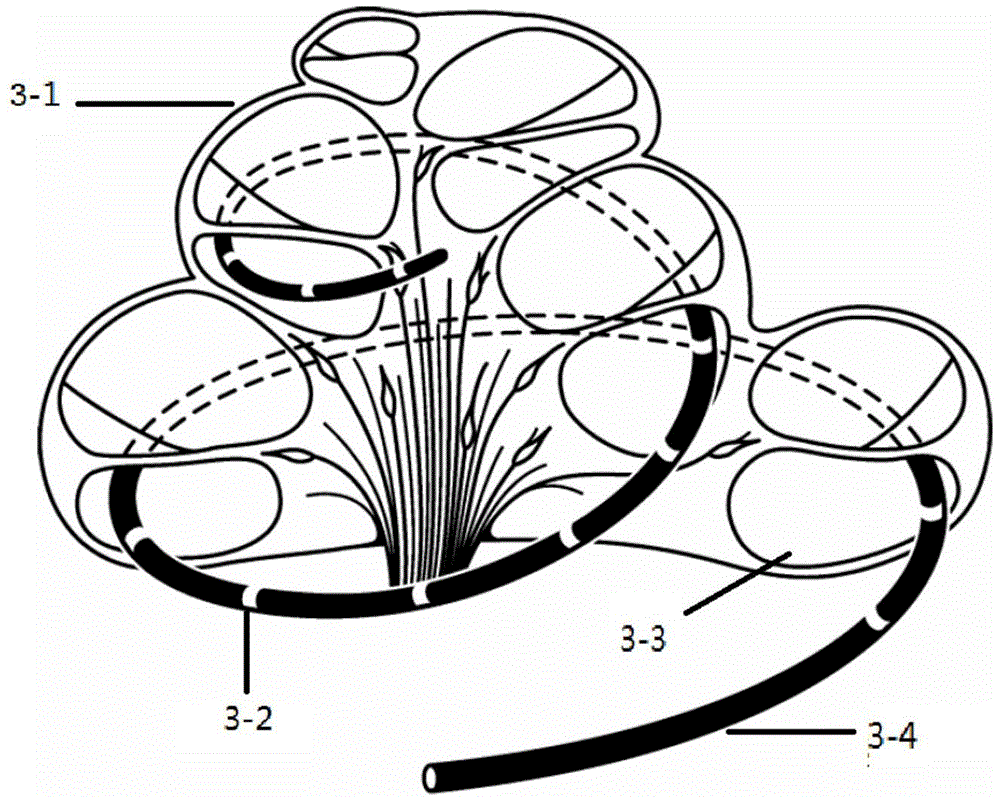 Multichannel synchronous cochlea auditory nerve action potential measuring system and multichannel synchronous cochlea auditory nerve action potential measuring method