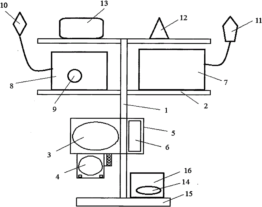 Multifunctional anesthesia monitor